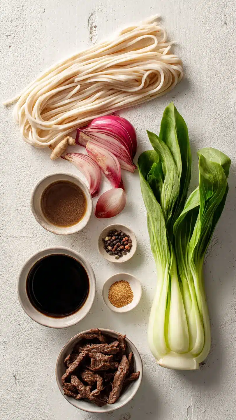 Udon-Nudeln mit Rindfleisch, Pak Choi und Röstzwiebeln
